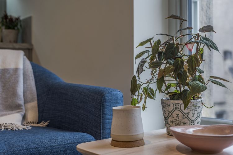 Stonewell (Flat 4), Lancaster