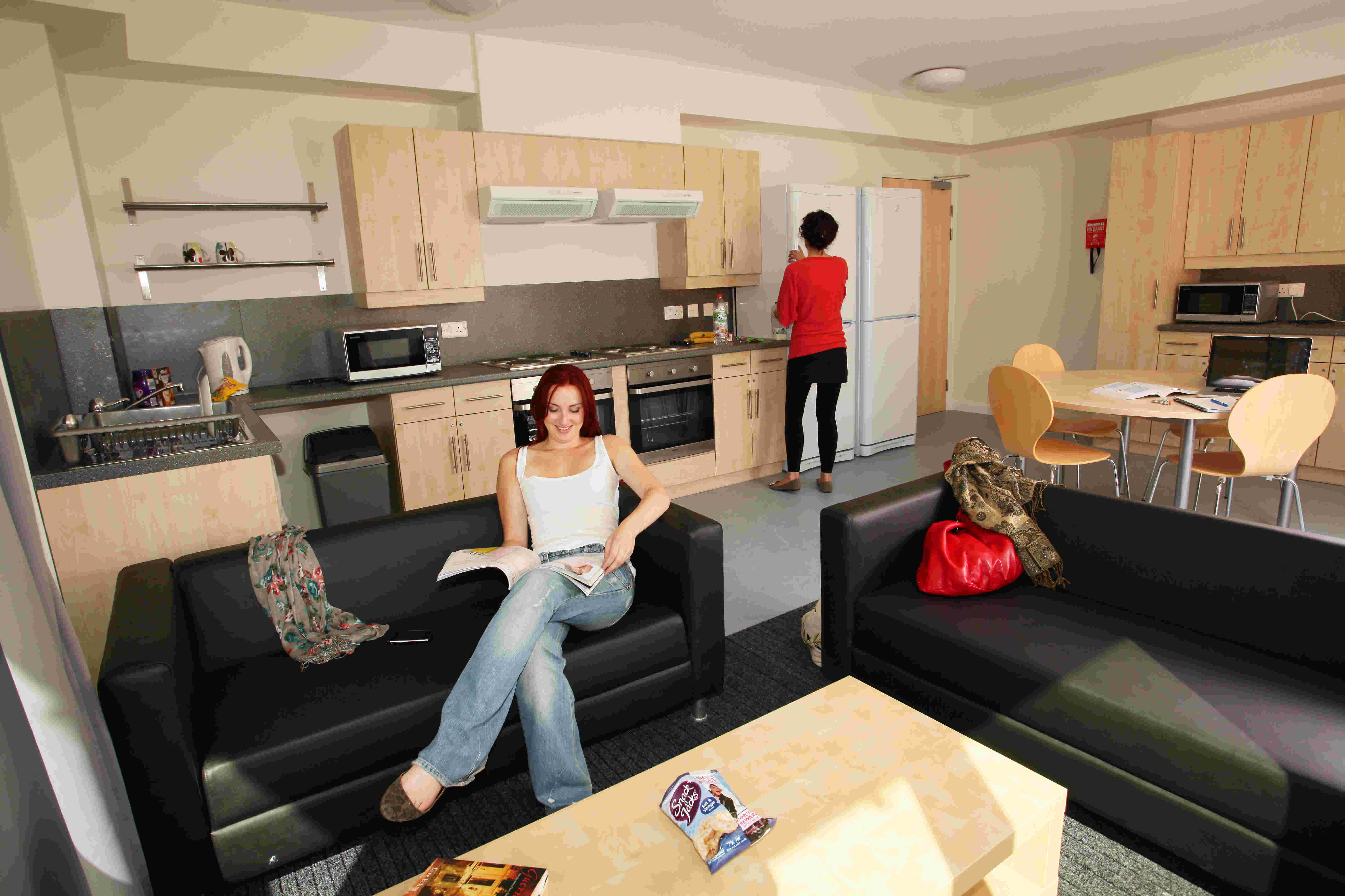 Share a flat. Student Living Room. Rent sharing Series квартира на двоих. Shared Apartment. Students Living House.